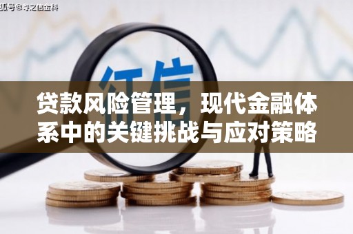 献县贷款风险管理，现代金融体系中的关键挑战与应对策略