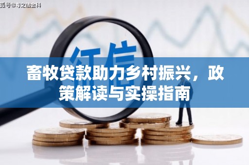 托克托畜牧贷款助力乡村振兴，政策解读与实操指南