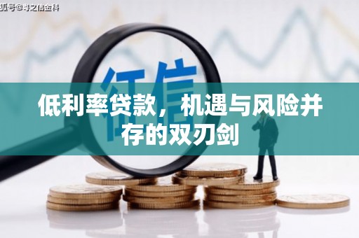 龙口低利率贷款，机遇与风险并存的双刃剑