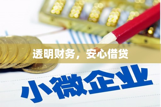 镇安透明财务，安心借贷