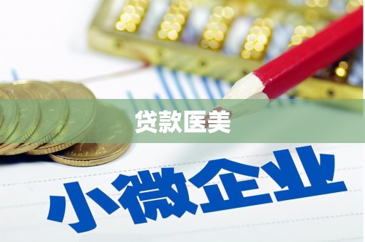 白碱滩贷款医美