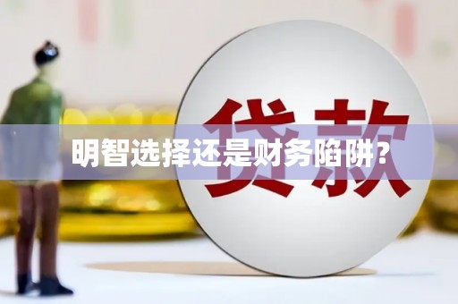 盐湖明智选择还是财务陷阱？