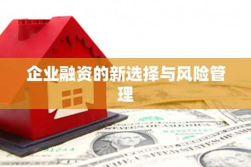 历城企业融资的新选择与风险管理