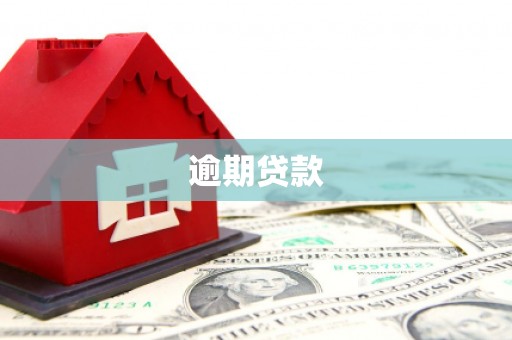 果洛逾期贷款
