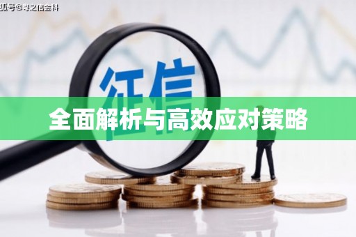 双鸭山全面解析与高效应对策略
