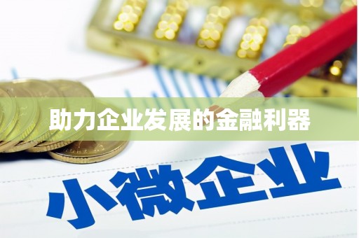 循化助力企业发展的金融利器