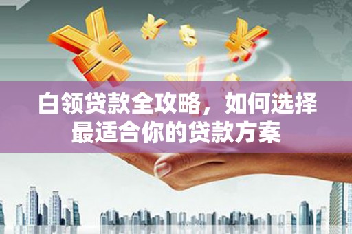 临沂白领贷款全攻略，如何选择最适合你的贷款方案