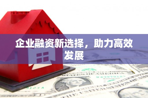 路环岛企业融资新选择，助力高效发展
