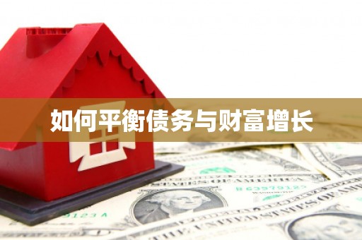 石冈如何平衡债务与财富增长