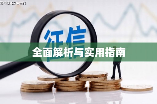 安陆全面解析与实用指南