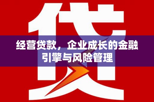 汉源经营贷款，企业成长的金融引擎与风险管理