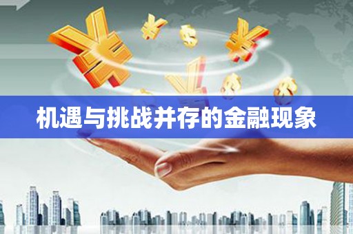 平舆机遇与挑战并存的金融现象