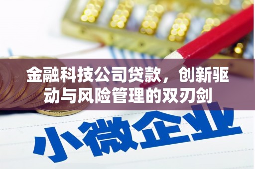 和田市金融科技公司贷款，创新驱动与风险管理的双刃剑